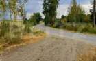 Teren extravilan 4265 mp, in Dangaul Mare - EXCLUSIVITATE - 1