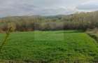 Teren intravilan Ili?e?ti/Suceava