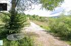 De vanzare: teren intravilan 1048 mp in Poienari, Corbi, Arges - +447784179868 - 6