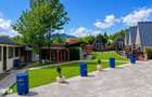 Afacere la cheie ! 6 Casute de vacanta + 2982 mp teren Bistrita - jude - 6