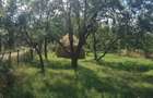 Vanzare terenuri construc?ii (agricol) - 5