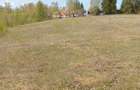 Teren de vanzare, Tarsa, Hunedoara - 3