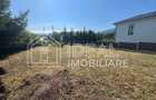 Teren intravilan | 650mp | Tocile, Sadu - 10