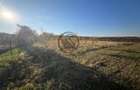 Teren intravilan de vanzare | 12.650 mp | Ghirdoveni | Comision 0%