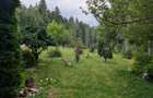 Apartament 2 Camere Predeal - 8