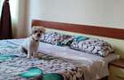Apartament 2 camere, zona nord - 8