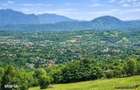 3.000mp de incantare montana cu cabana din lemn masiv, Zarnesti Tohani - 2