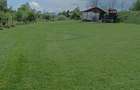 Vand teren intravilan in comuna Subcetate sat Filpea jud Harghita - 1