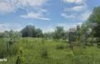 Proprietate de vanzare, teren 5488 mp, localitatea Ambud, comuna Paule - 7