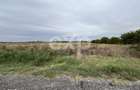 Teren industrial premium 15.000 mp la DN61 langa Centura Gaesti acces - 7