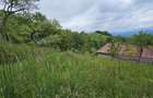Domeniu Premium 1.7 Ha Intravilan Zarnesti | Liziera Padure - 5