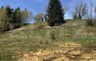 Teren in Vatra Dornei, str Rosu, 8450 mp, extravilan + intravilan - 8