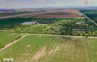 Proprietate industriala premium de vanzare