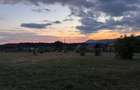 Teren intravilan Baia Sprie, 41 arii, parcelabil, toate utilitatile, - 5