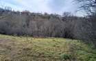 Vand teren, Virlezi, jud Galati - 9