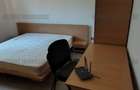  Apartament 1 camera - Fabric - complet mobilat si utilat - 270 euro  - 6