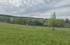 Teren 3,000mp Oslobeni / Strada Oslobeni punct GRADINA - 1