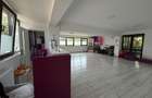Spatiu Comercial la bulecard - 12