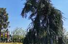 Apartament 2 camere |West Avenue - parc privat, paza, parcare - 8