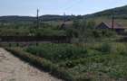 Casă cu 3 camere cu Teren 970 Mp în Almașu - 5