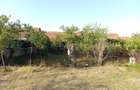 Berliste, Casa 6 Incaperi, 1129mp Teren, Pret Negociabil