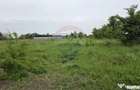 Teren intravilan, langa padure, 752 mp, Bolintin-Deal - Bolintin Deal (Giurgiu) - 2