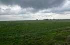 Teren de 12527 mp in extravilantul orasului Mihailesti , Giurgiu - 2