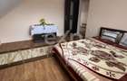 Casa 3 camere 2 bai P+M teren 1732 mp Garleni Dambovita - 10