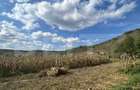 Teren de vanzare, 9660 mp, zona Bont - 2