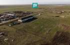 Hală industrială cu teren generos în Zărand, Arad - 56