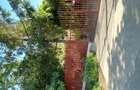 Vind casa in Novaci Giurgiu - 4