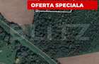 Pădure 10.000 mp Șag – front stradal 100 m, zonă în dezvoltare - 1