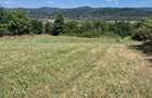 Teren panoramic 5.805 mp in Ciofrangeni, Arge? Natura, lini?te ?i acces facil - 4