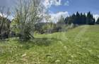 Teren in Vatra Dornei, str Rosu, 8450 mp, extravilan + intravilan - 3