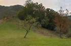 Har?agani, Hunedoara, teren intravilan, 8500 m2, acte, pozitie superba, liniste, eco - 6