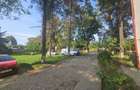 Vand apartament cartier Nord Bacau - 2