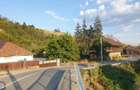 casa si teren 4000mp (mosie livada) Julita, Varadia de Mures, Lipova - 7