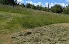 Teren intravilan cu CF la aprox. 35 km de Cluj-Napoca - 2