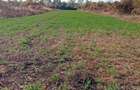 Vind teren extravilan teren agricol