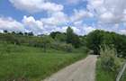 Teren intravilan, 1000 mp, Cisnadioara - Sibiu - 3