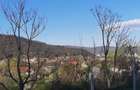 Vand 11500 mp teren str Morilor 178 pt Cartier Rezidential sau investitie 1500000 euro tot cu casa
