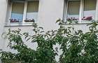 Vand apartament doua camere - 1