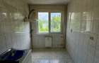 Apartament 3 camere-Alex Obregia - 8