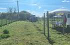 Vand teren in Calara?i zona linistita, cu vecini foarte buni. - 10