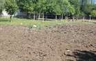 Teren de vanzare ,urgent - 6