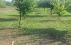 Vand teren intravilan 2000 mp cu 30.73 mp front stradal- Sat Nou , Comuna Ileana - 3