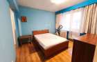 Apartament 5 camere decomandate zona Ultracentrala strada Olteniei - 14