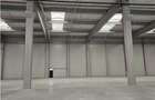 Spatiu Industrial - 4300 mp - Logistica - Depozitare - Distributie - 12