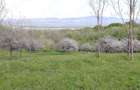 Vand Teren 18.813 mp Caransebe? - Zona Teiu?, Ideal pt casa de vacan?a ?i ecologice . - 7