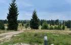 Teren Belis zona superba - 4